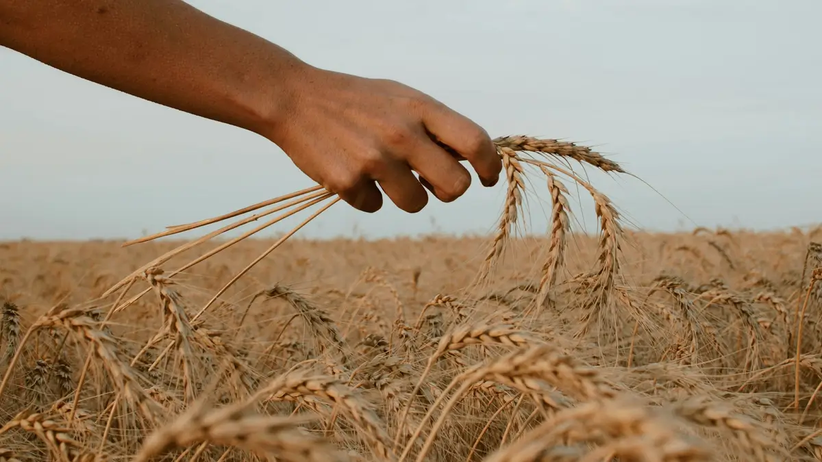 농업인 건강보험료 연금보험료 지원