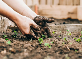2025년 2차 시흥시 농어민 기회소득 지원사업